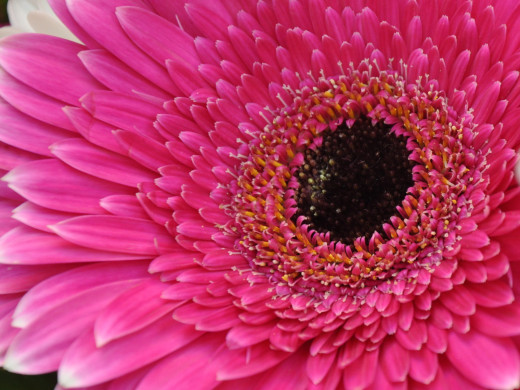 428891 (a): :1600x1200